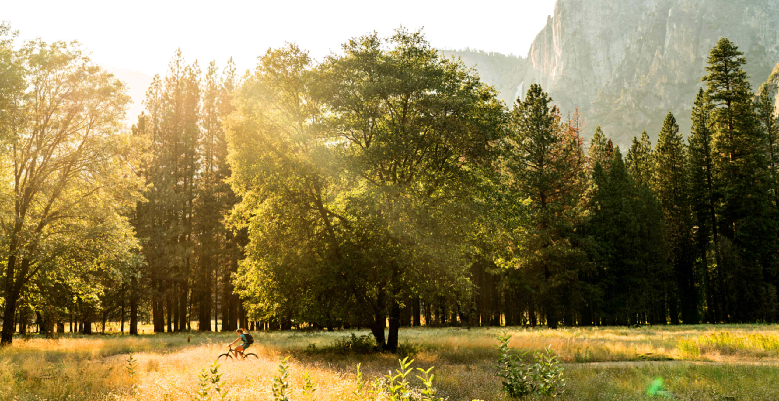 yosemite <br />
national park